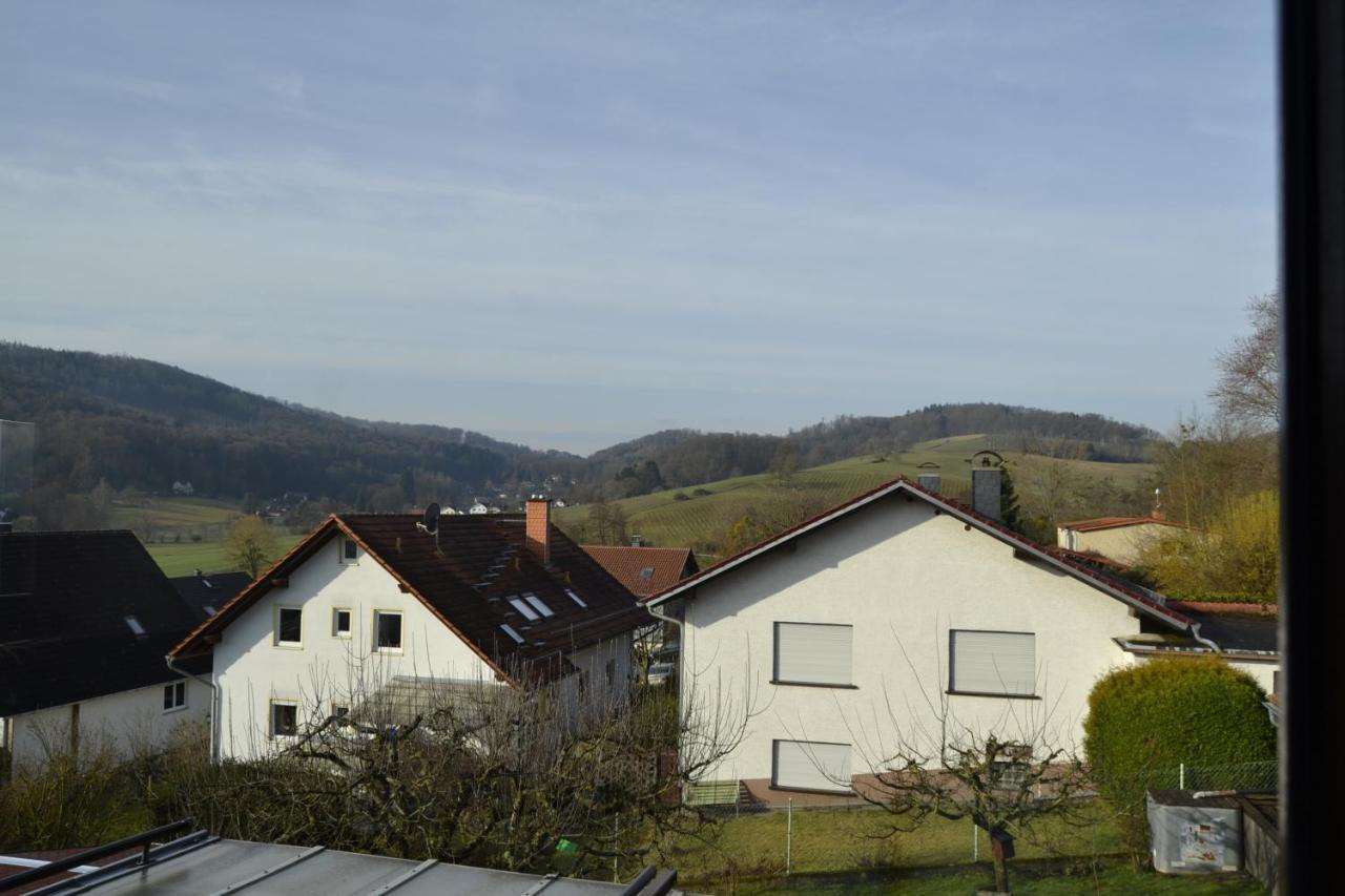 Fewo Ackermann Modautal Exteriér fotografie