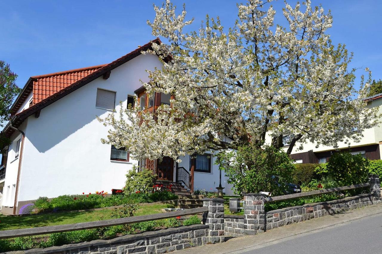 Fewo Ackermann Modautal Exteriér fotografie