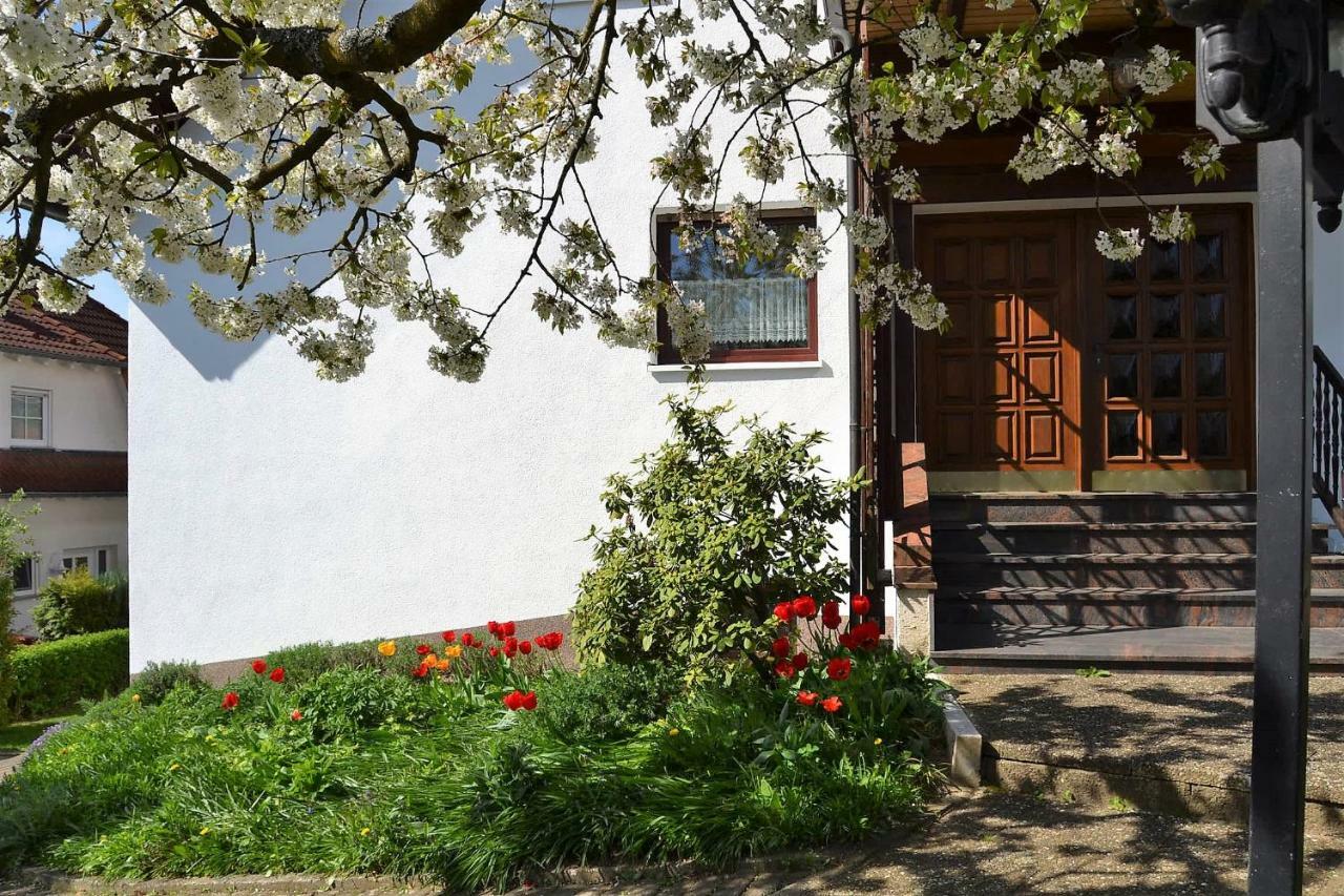 Fewo Ackermann Modautal Exteriér fotografie